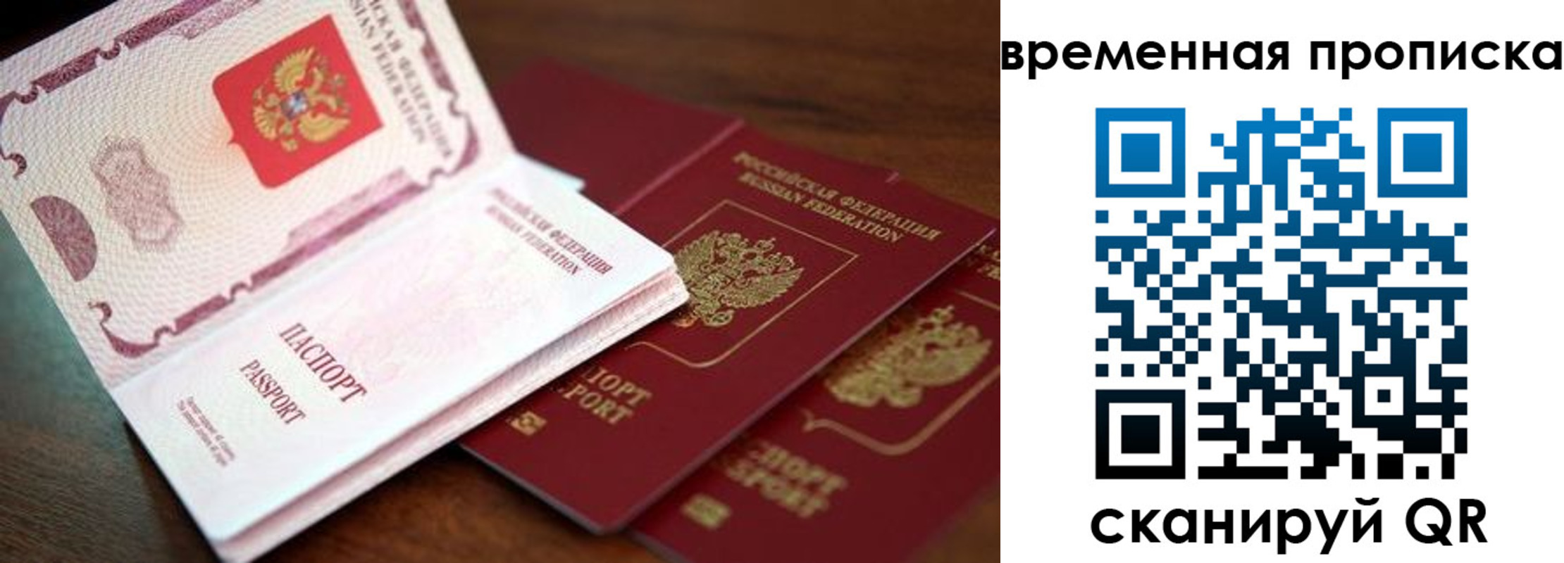 прописка гарантия в Светлом